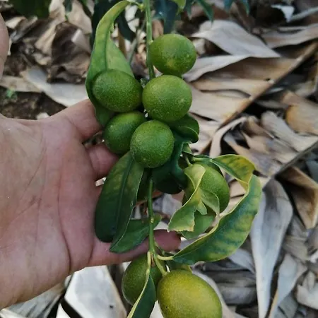 Σπίτι διακοπών Vista Valle