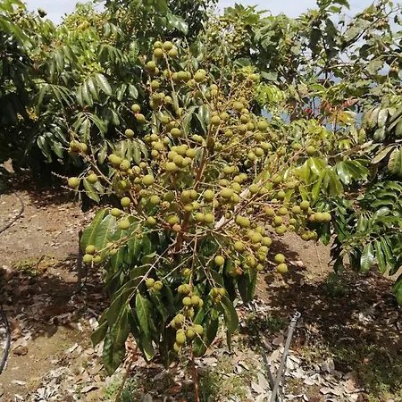 Vista Valle Σπίτι διακοπών